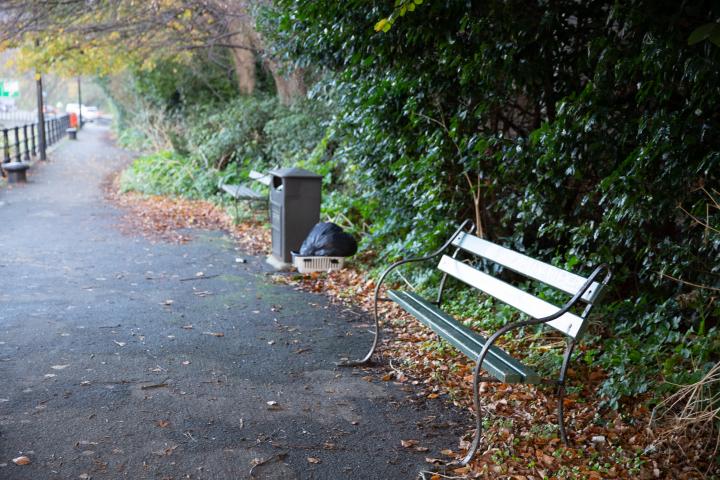 Is this really the best site for a bench?