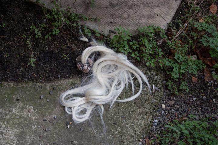 I think someone lost their hair extension. Or this is the resting place of a My Little Pony that's been buried arse-up.