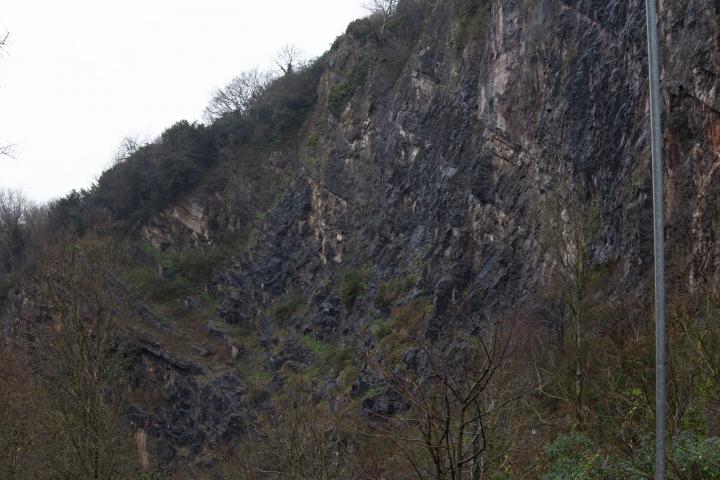 What can I say? I went to a quarry in the Avon Gorge. Most of my pictures are going to be of rocks. Sorry.