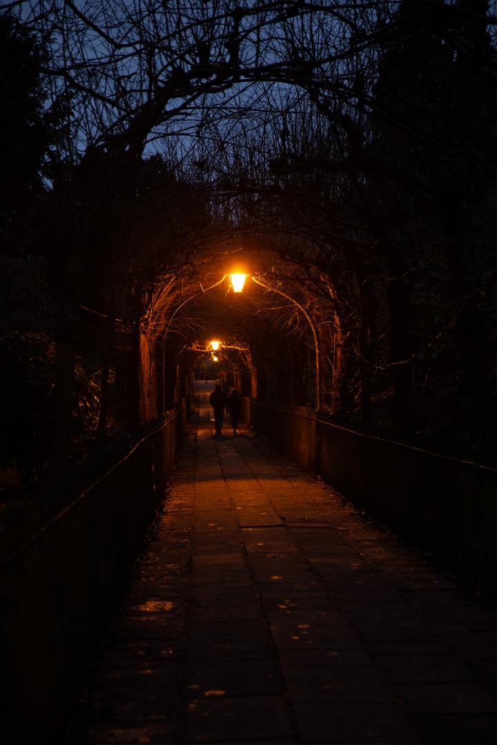 This is Lime Walk, a well-known path through St Andrew's Churchyard.

A lot of people call it Birdcage Walk now, and I think that's even on Google...