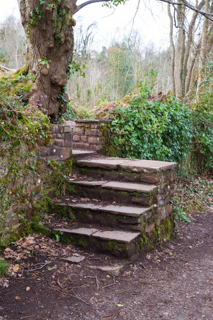On my long walks on this route, I'm always grateful to see this, I think the only set of steps anyway on the towpath, making them a very distinctiv...