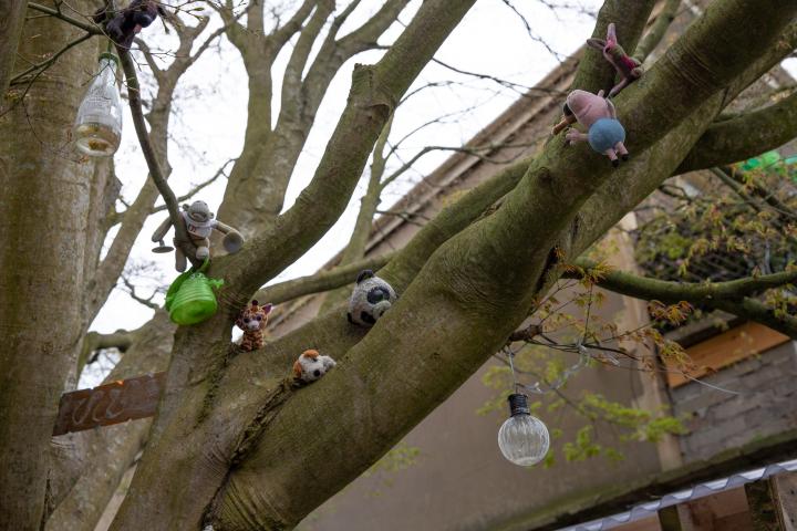 In the tree in the little play area in the front garden of Grenville Chapel flats.