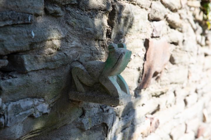 I don't know what I was expecting to see on Brandon Steep, but a sculpted stone frog sticking out of the wall would have been pretty low on the list.