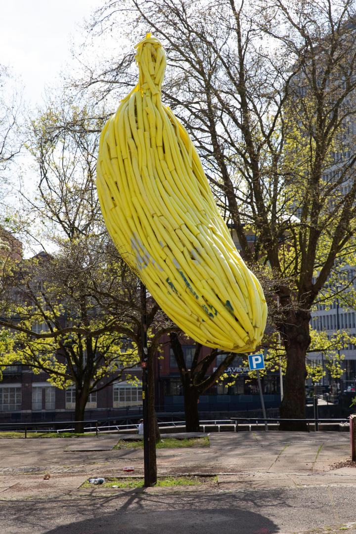 This didn't look like a banana when Duncan McKellar first put it there, from what I recall...