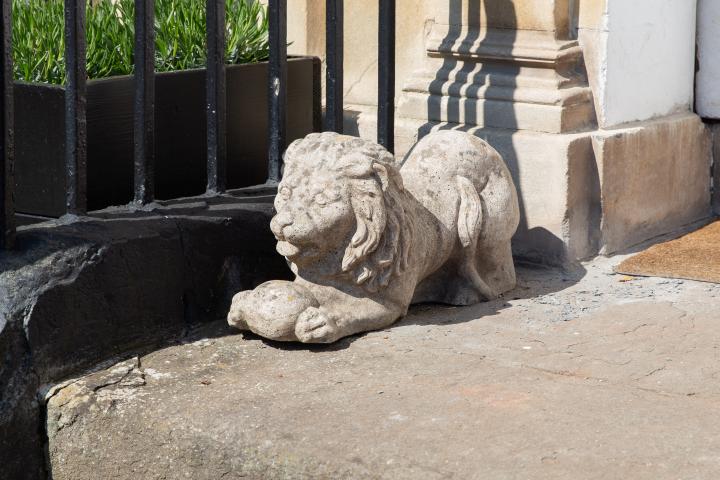 Is this lion playing with a ball? Or maybe he's eating a beehive...