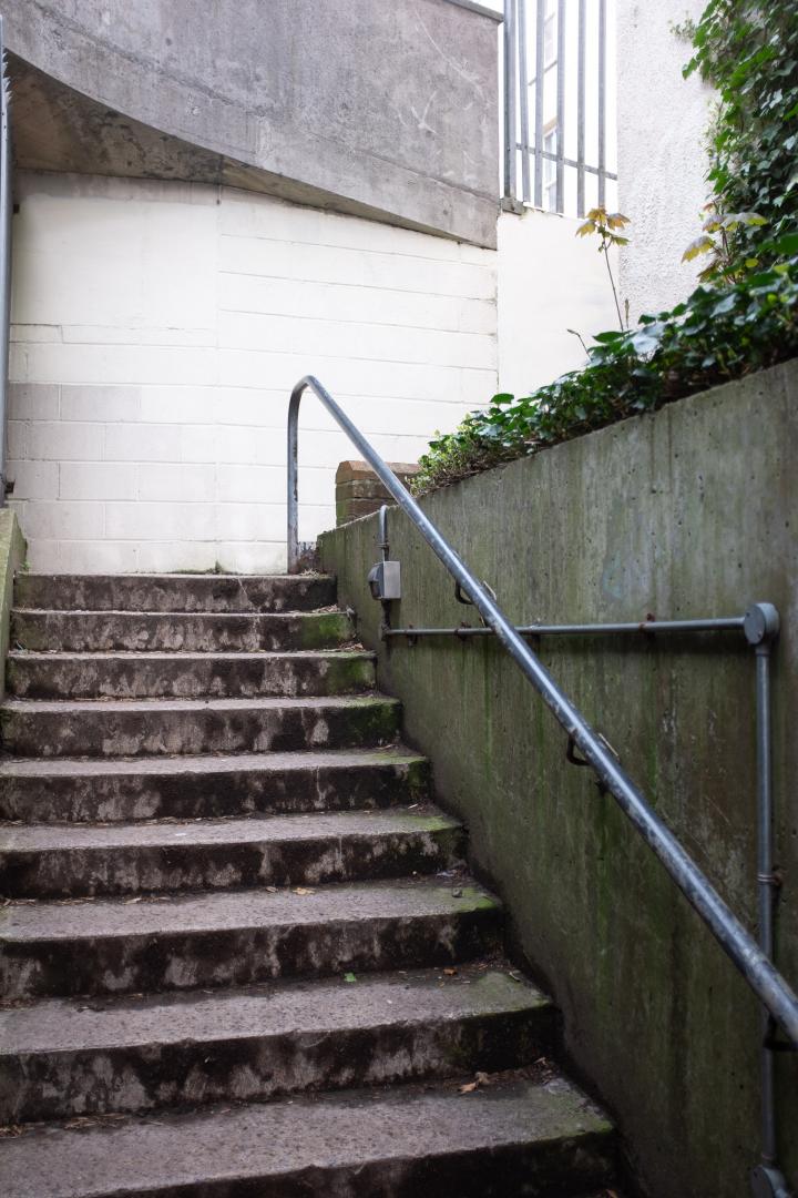 Many people use the cut-through from Alma Vale Road through to the side door to Clifton Down Shopping Centre, up these delightful concrete steps.