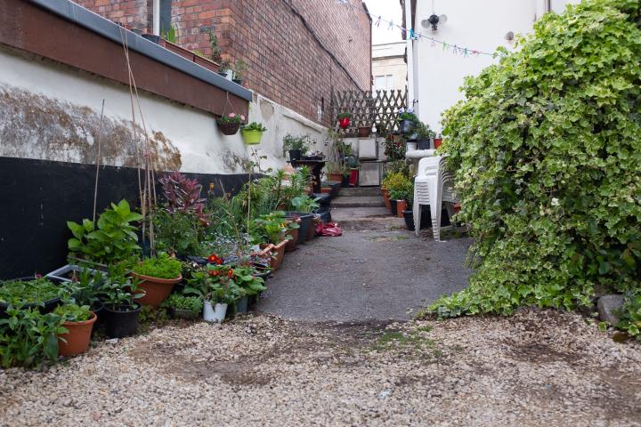 We spotted this alley, decided to explore, and found a delightful little urban back garden at the end, behind a house on Aberdeen Road.
