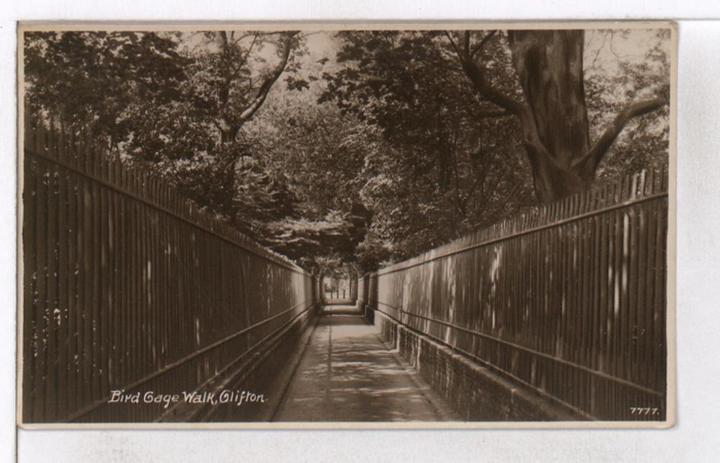 Before WWII, you can see why one might have wanted an underpass to cross between the two halves of the private garden on either side of Birdcage Wa...