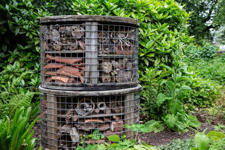 This is clearly a 5-star insect hotel. I imagine the rooms come with hotel-monogrammed bathrobes and that there's a swimming pool around the back.