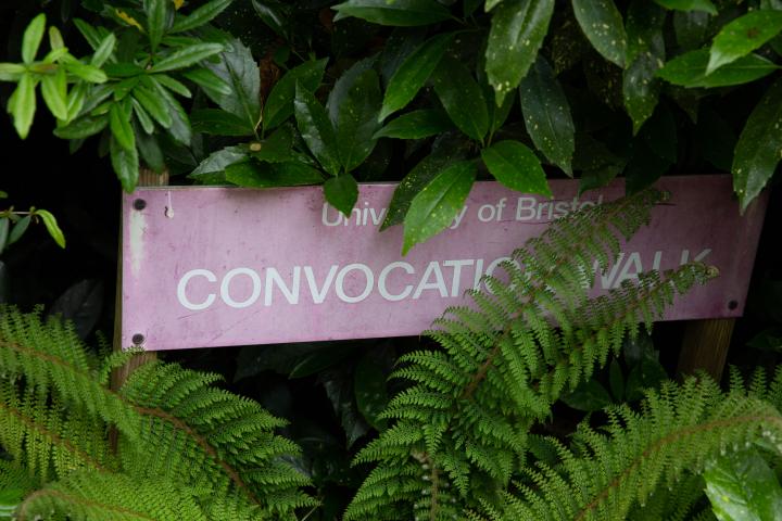 convoke /kən-vōkˈ/
transitive verb
To call together
To assemble (also convocate /konˈvō-kāt/)
ORIGIN: L convocāre, from con- together, and vocāre,...