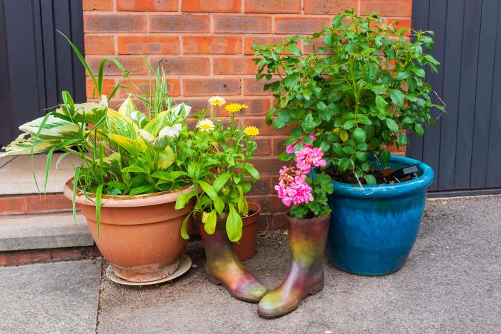 Using boots and shoes as flowerpots is a bit of a Cliftonwood signature, it seems.