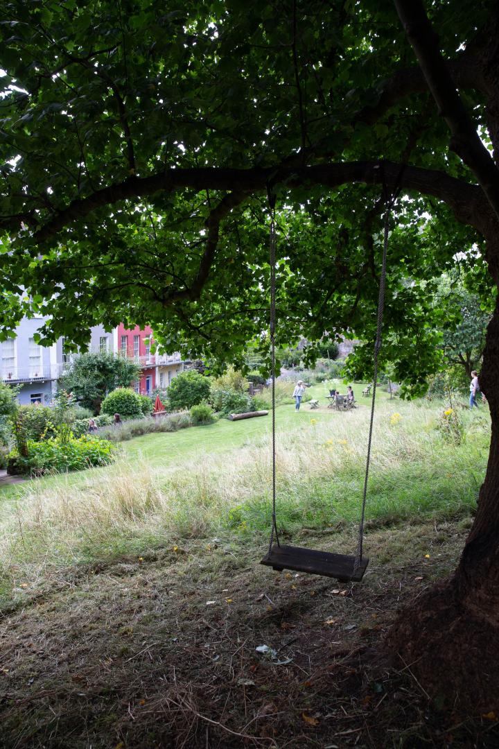 I wonder how many swings hanging from trees there are in all the varied gardens of Clifton? I've seen plenty on my wanders, and I've not looked out...