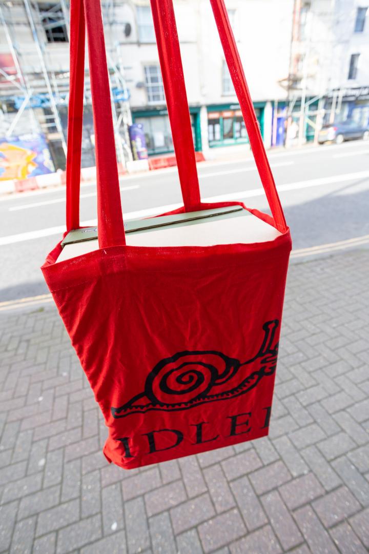 New shoes secured. My Idler tote bag was apparently perfectly designed for a pair of Keen Targhee walking shoes.