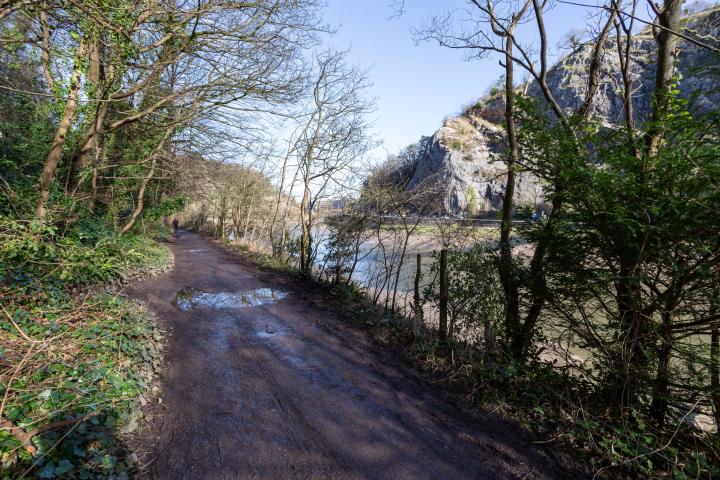 The towpath is a lovely stroll in weather like this. Waterproof walking shoes help, though, as the puddles are often wide enough to span the entire...