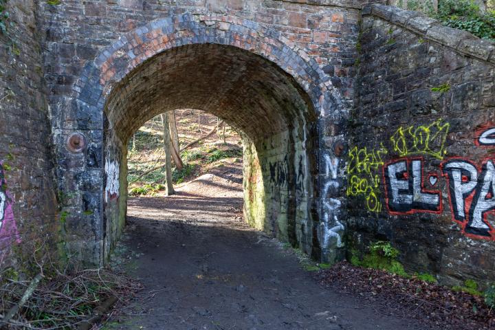 There are several ways into Leigh Woods along the towpath, all underneath bridges of the Portishead branch line that runs above.

At the one before...