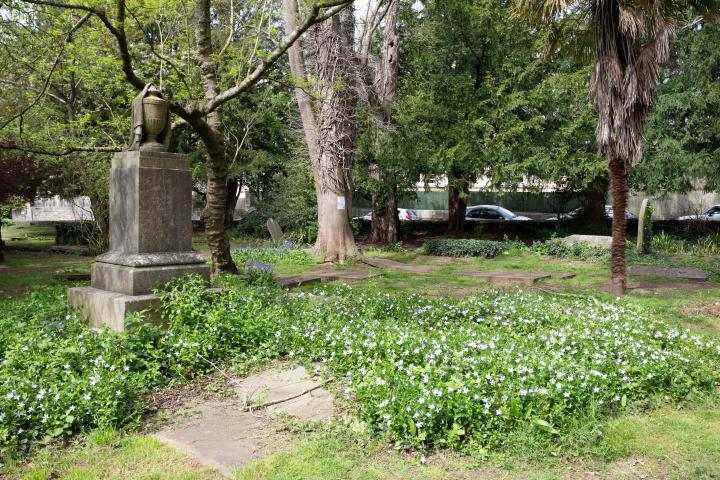 I rather like the stone drape across the funerary urn on the pedestal. Plenty more flowers on show, too. This is the bit where most of the squirrel...