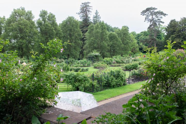 Alan Barber, late campaigner for public parks and green spaces, helped design this rose garden at Ashton Court, and it was dedicated to him in 2008.