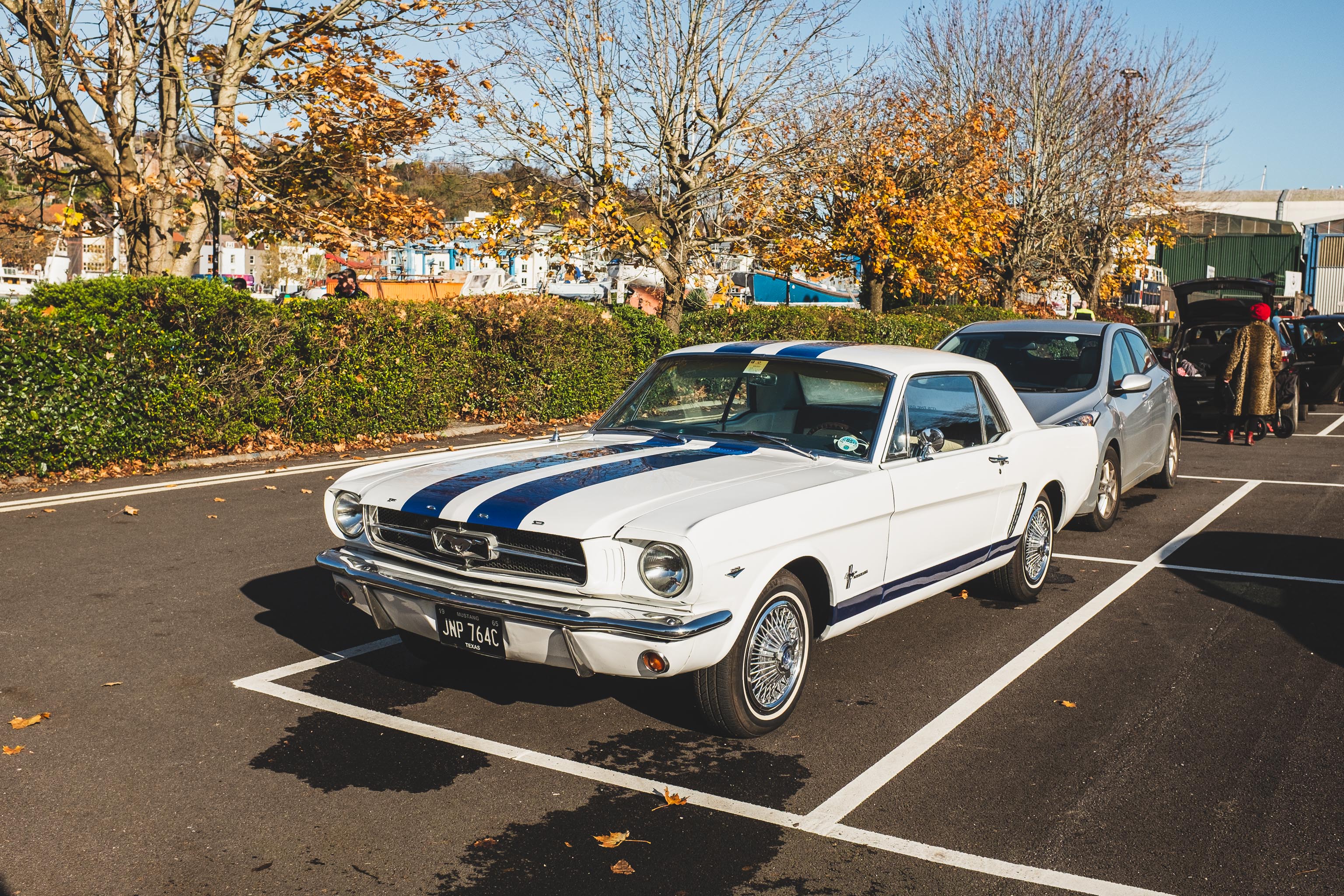 Mustang 3
