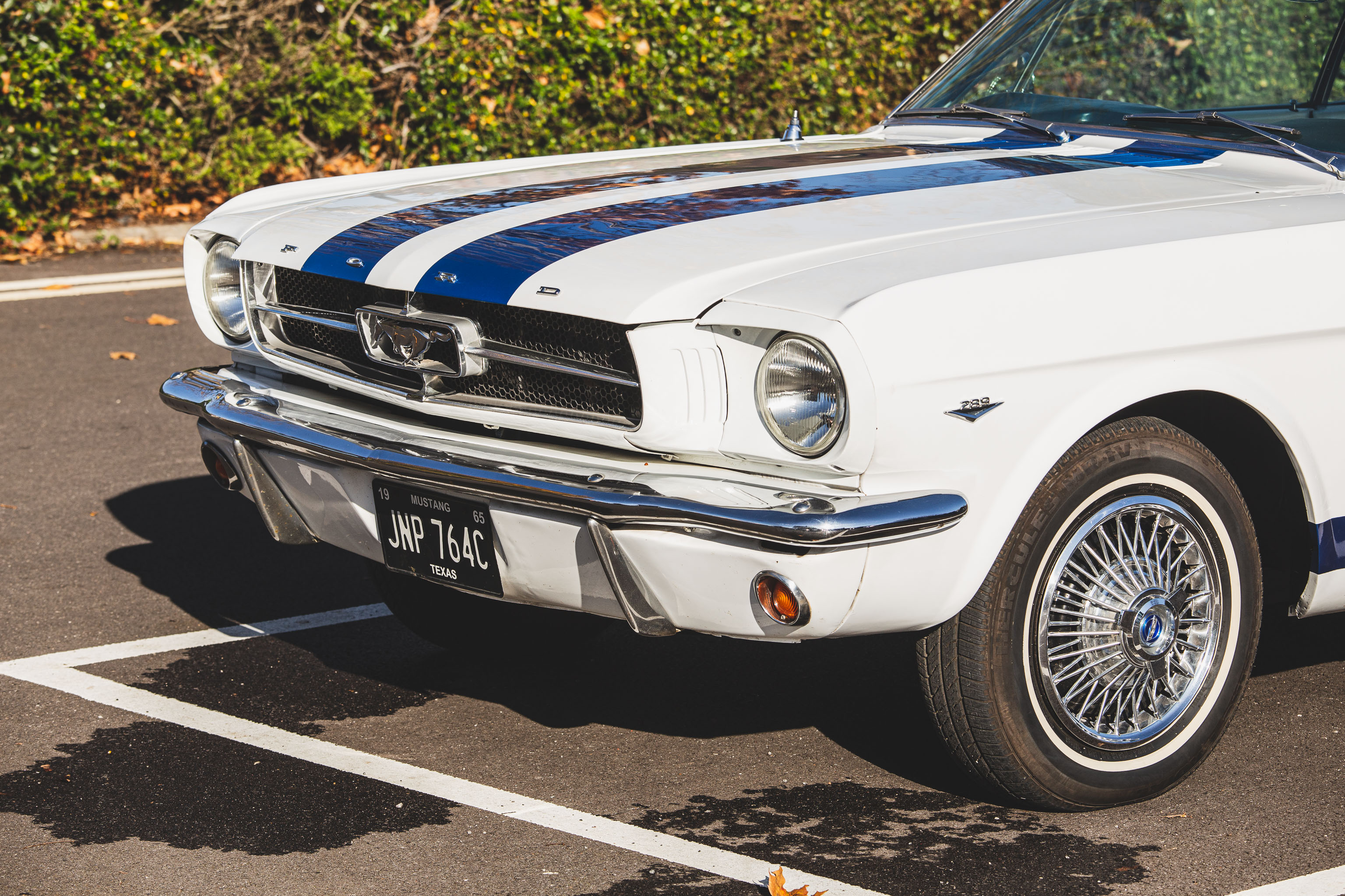 Mustang 4
