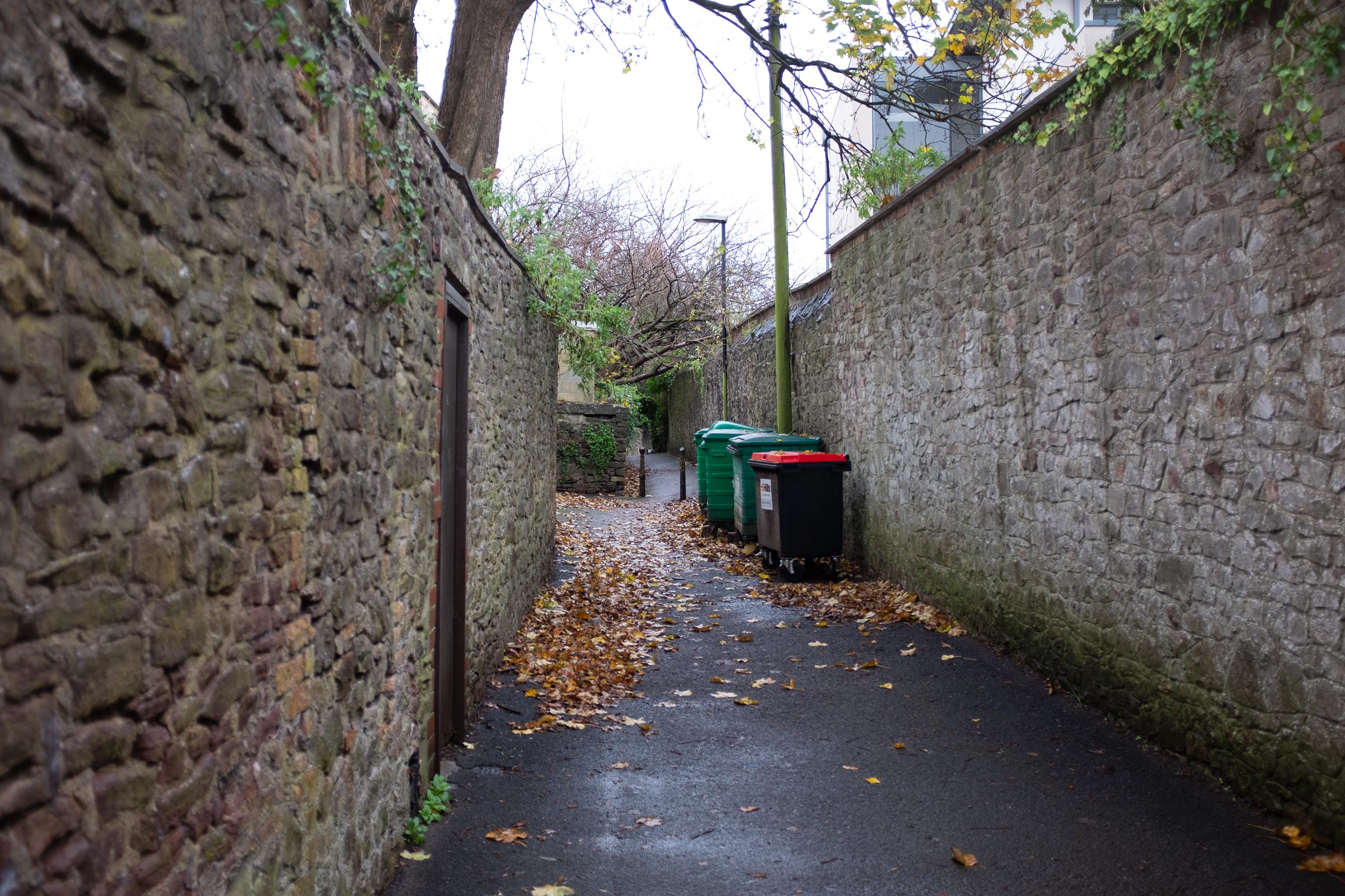 Many a time
Many a time have I wandered down this little cut-through that joins Saville Place and the Fosseway. A shortcut through the Polygon starts me off, t...