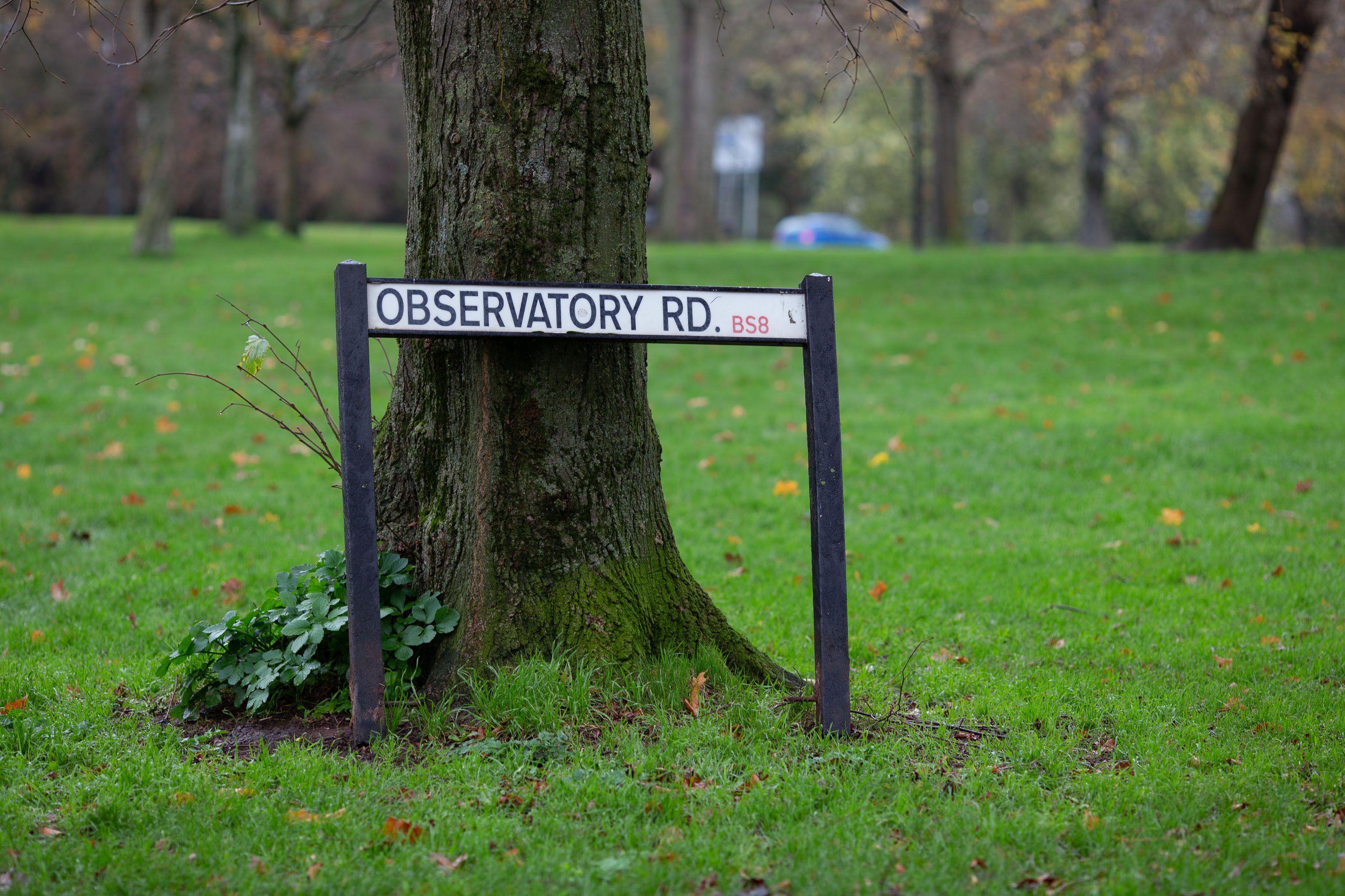 Observatory Road
