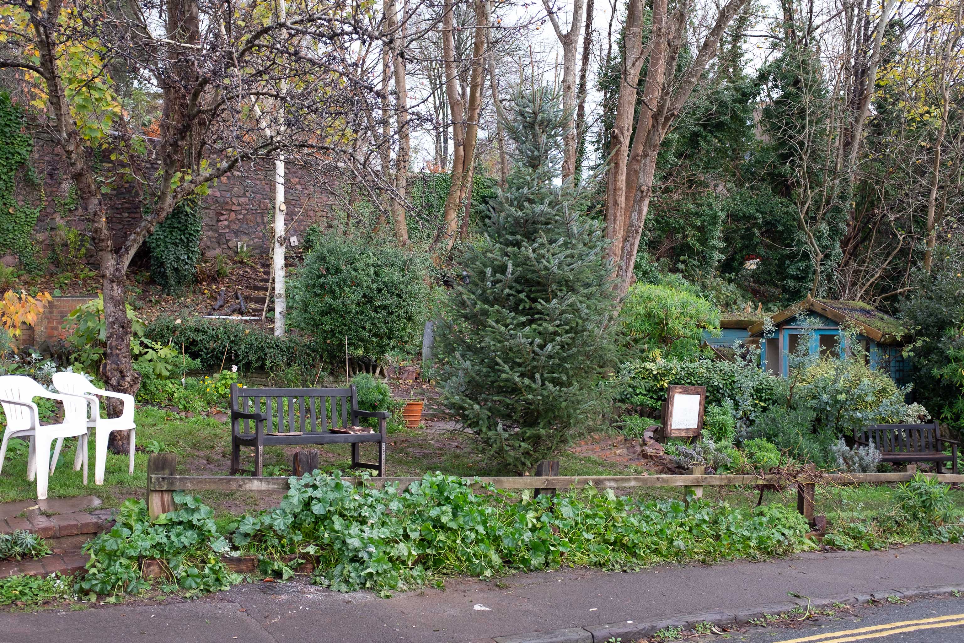 Cliftonwood Community Garden 2
