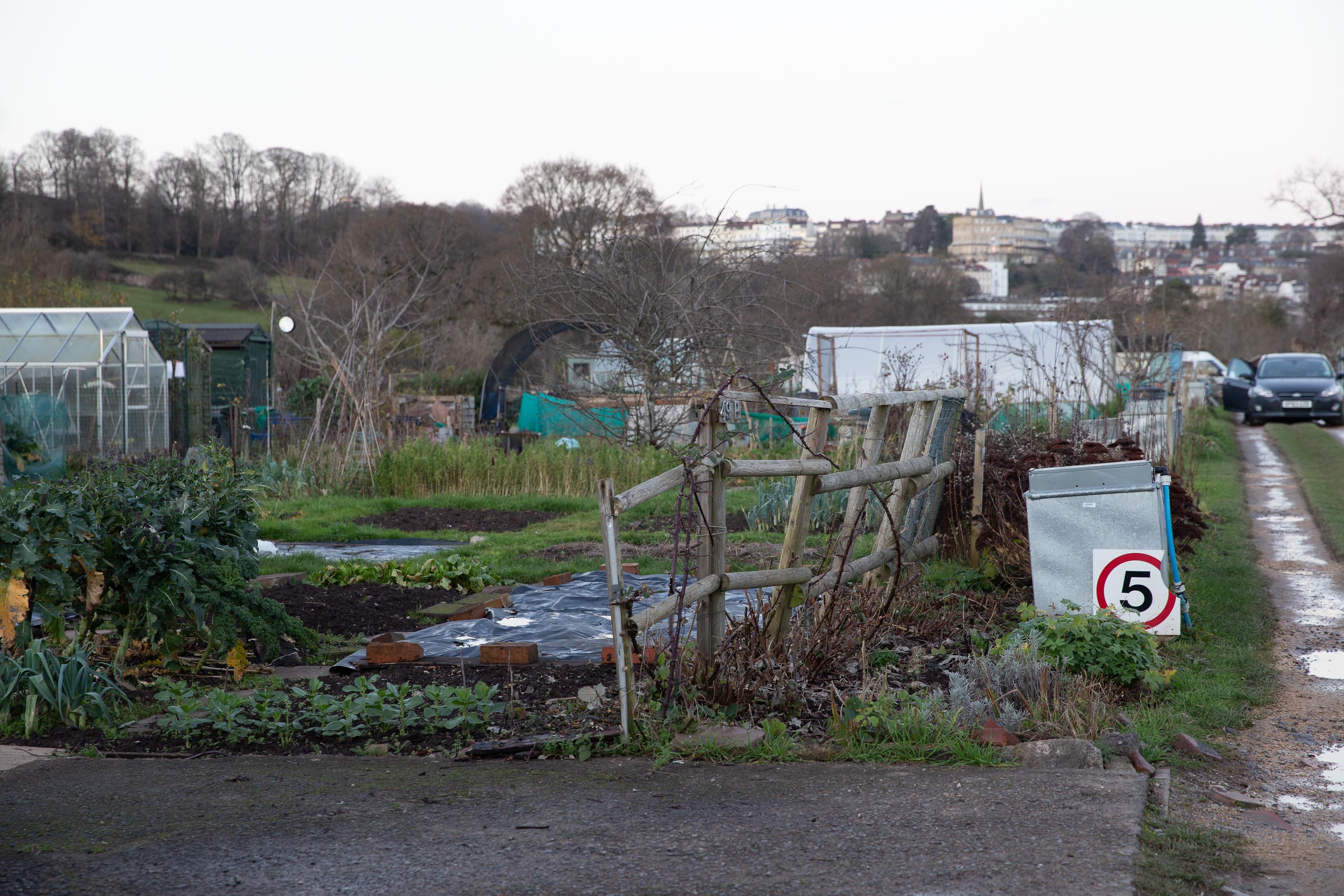 Kennel Lodge Allotments

