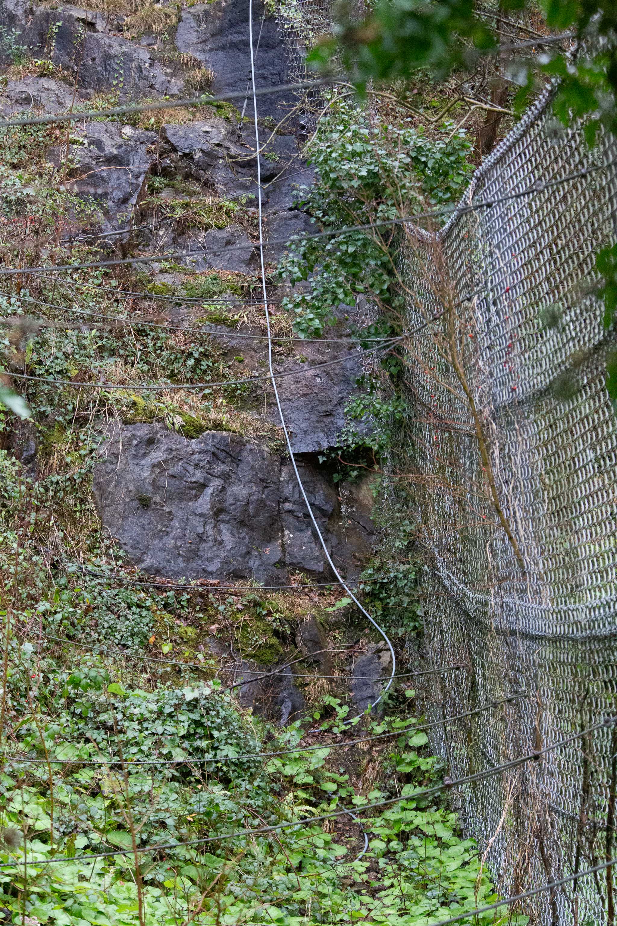 Strung
No idea what this is all about. Some of it's probably retaining stuff to stop the gorge falling down, but some may be climbing-related? It's really...