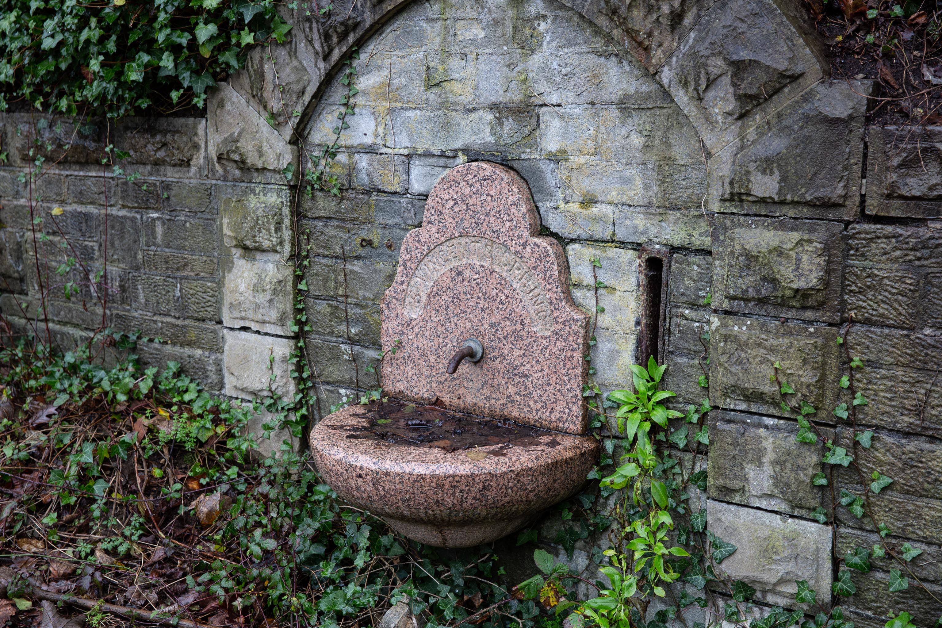 
                                St Vincent's Spring 6

                                                                    John Wesley, founder of Methodism, suffering from a "galloping consumption", found the location of St Vincent's Spring more to his taste then the m...
                                                                