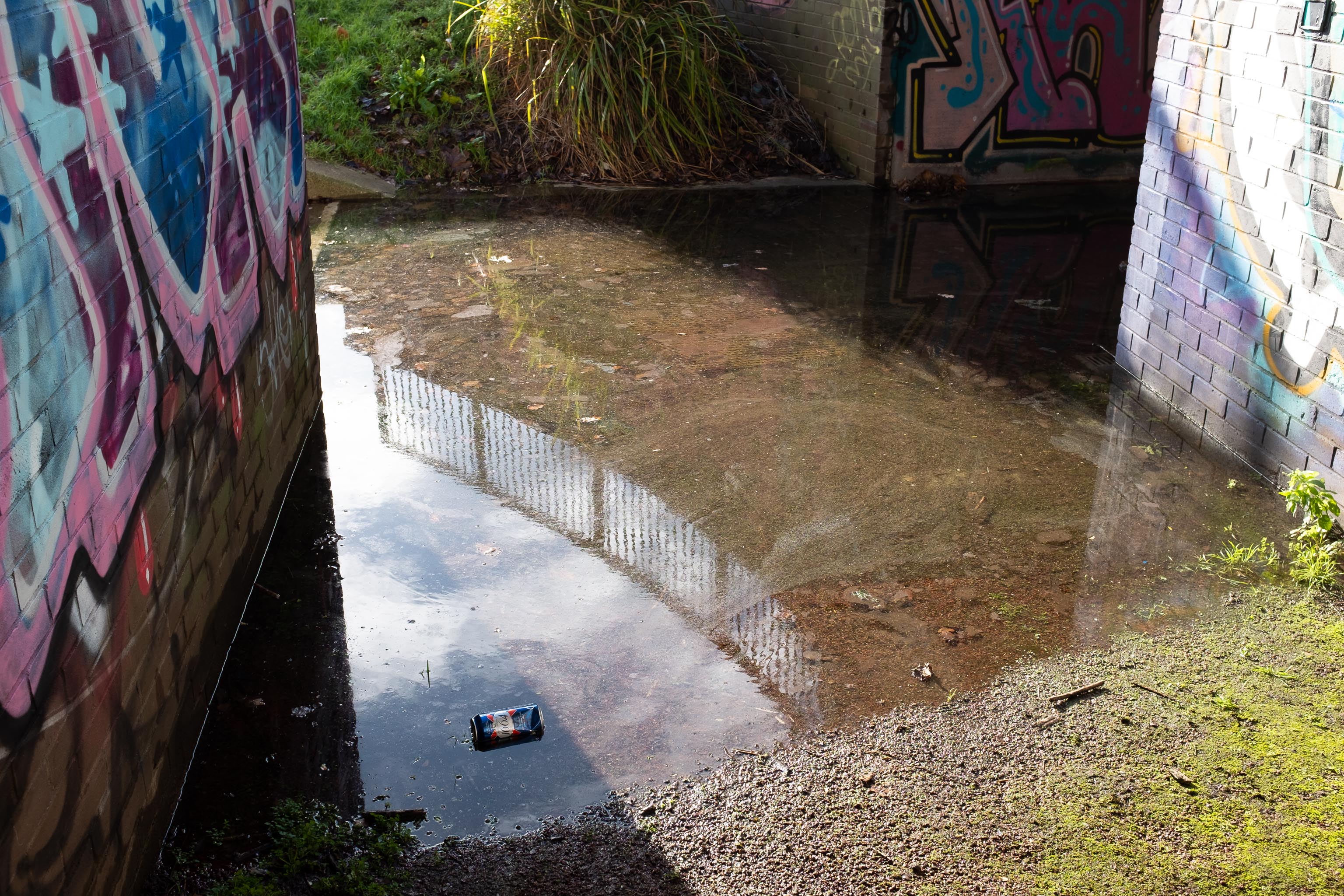 Water Feature
Just deep enough to be practically impassable, even in my waterproof Keens. I've not used this underpass to know if this is a regular occurrence or...