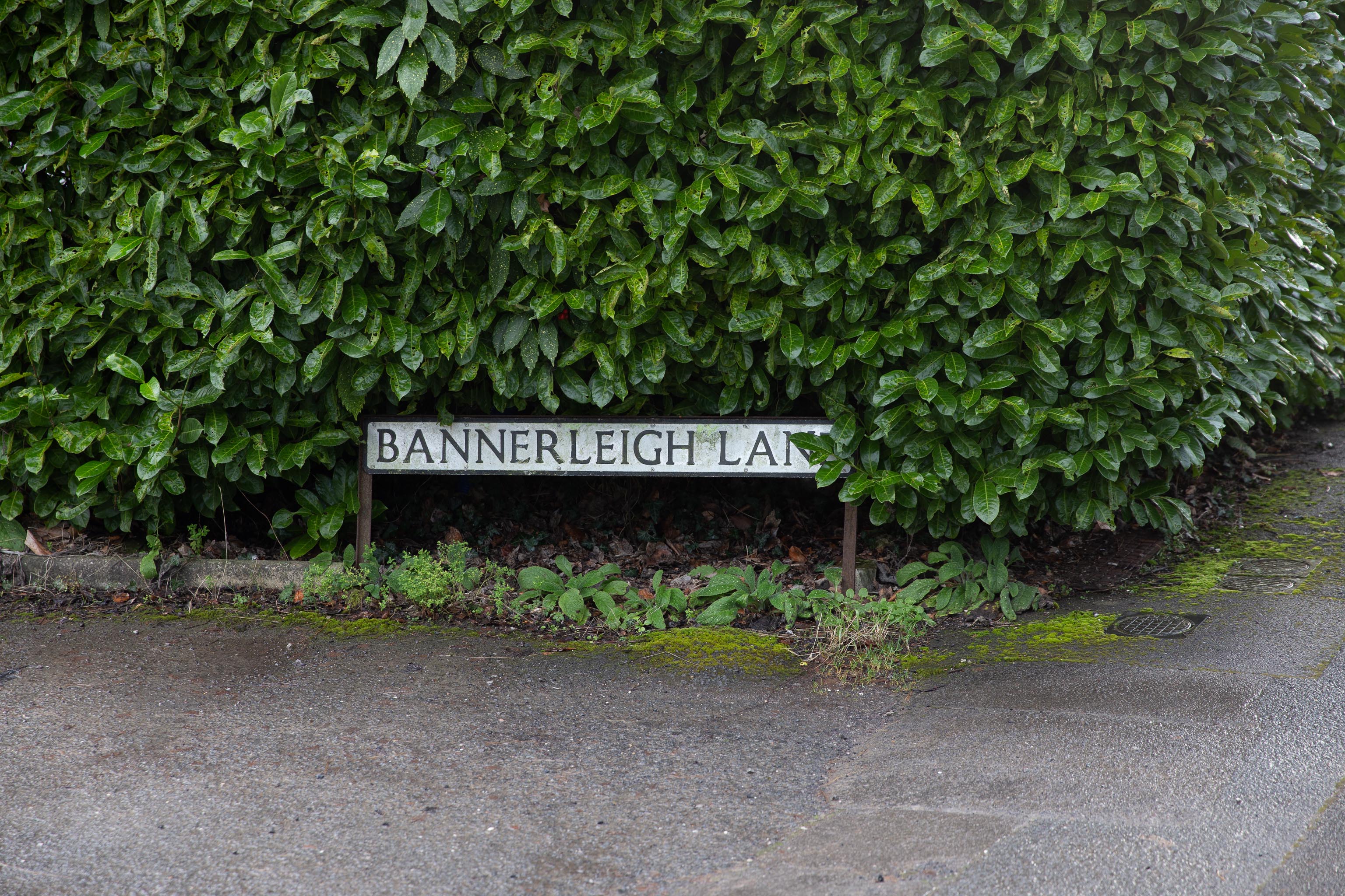 Bannerleigh Lane Sign
