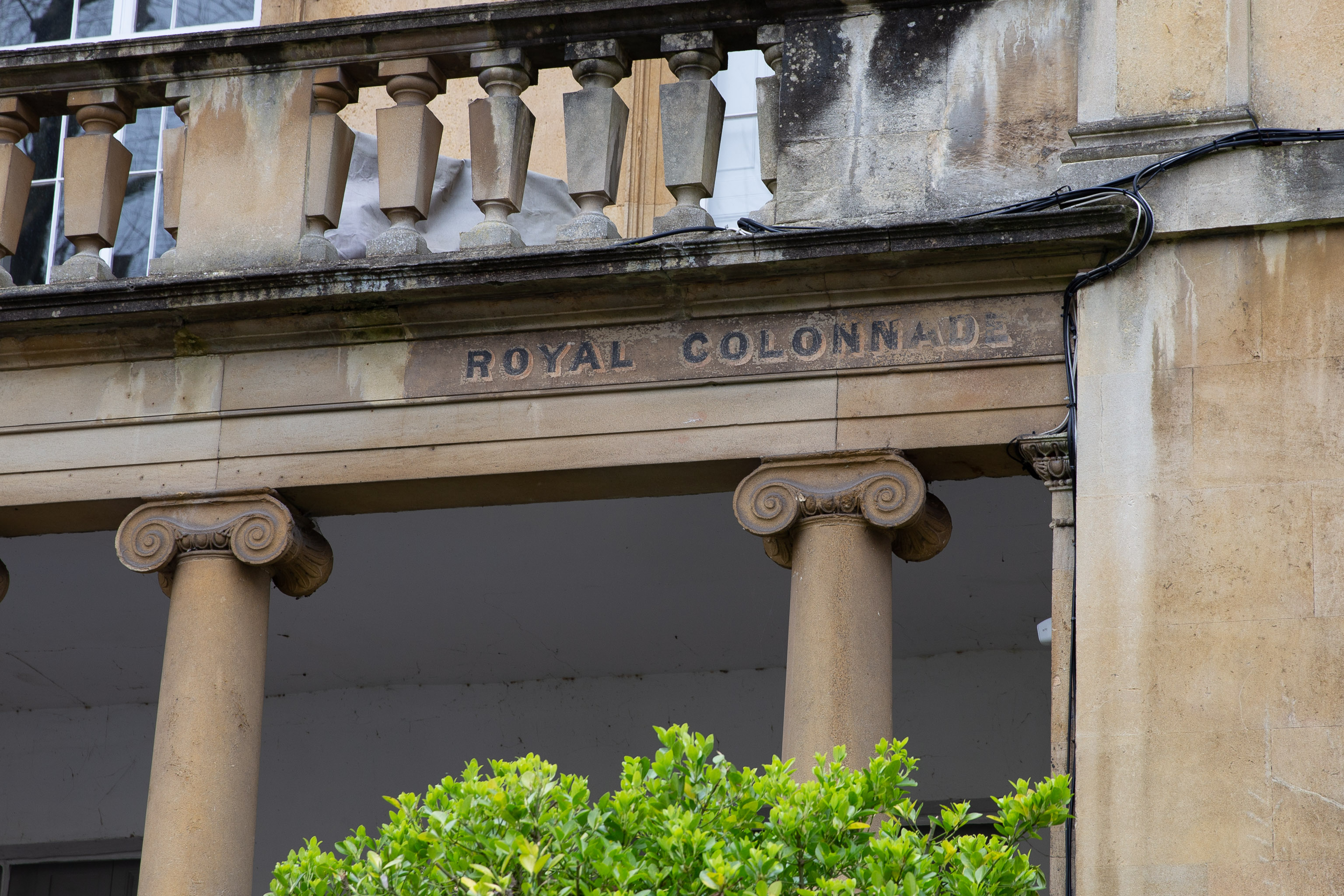 Royal Colonnade
Nice volutes.
