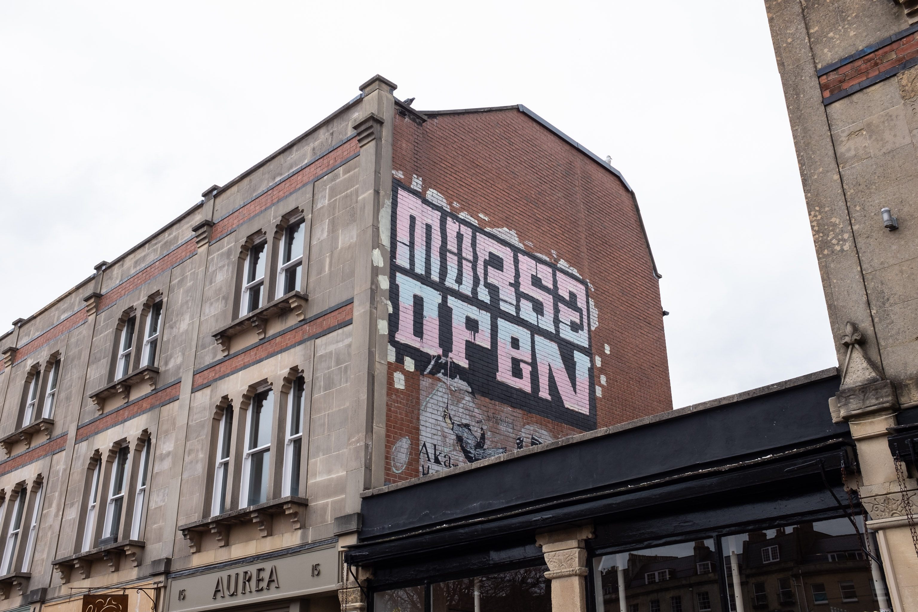 MORSA
I'm glad I added a search feature to the site recently, as it let me find this earlier photo when the name rang a vague bell. Morsa clearly gets ab...
