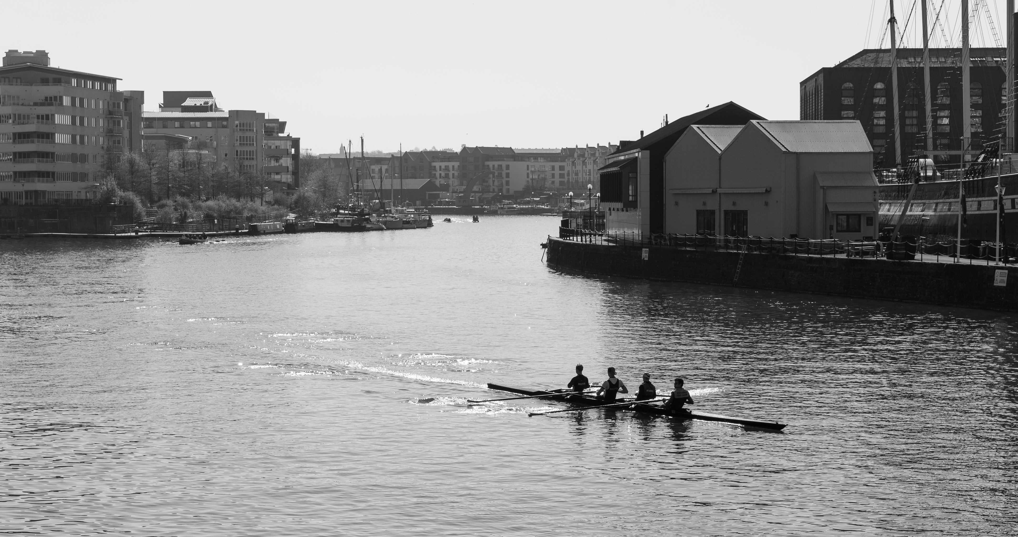 Coxless Four
