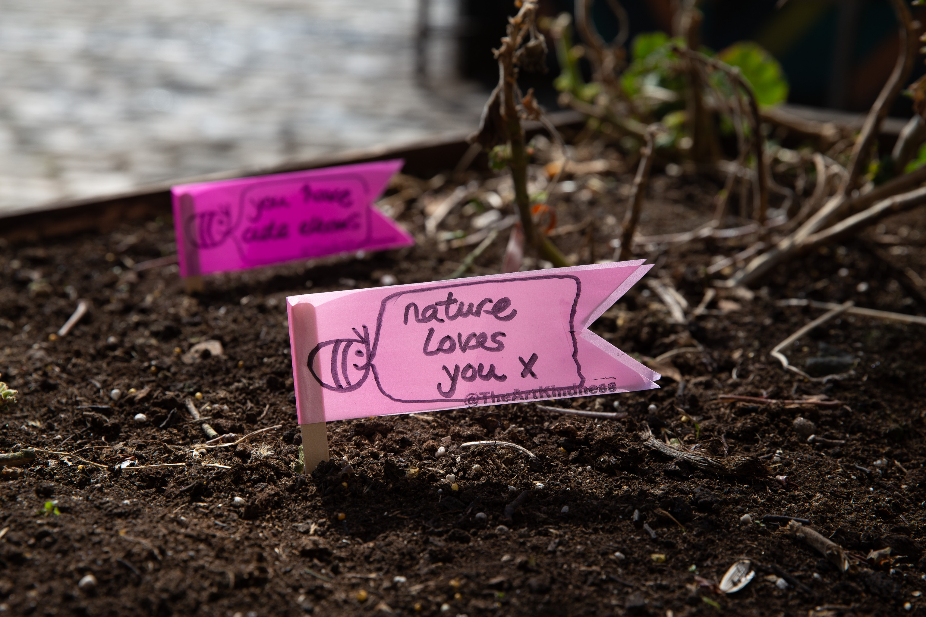Nature Loves You
The Art of Kindness project.
