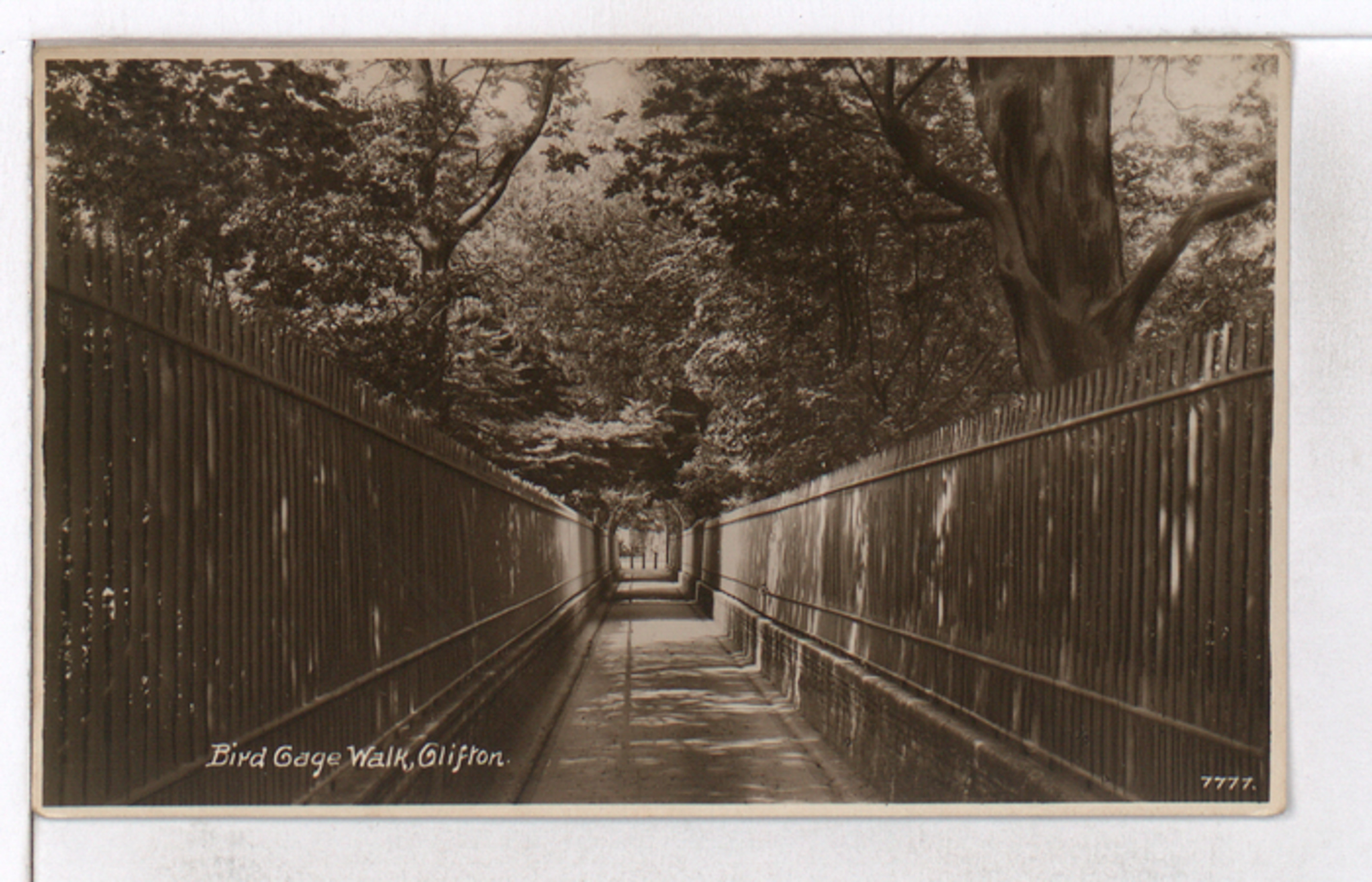 Birdcage Walk, Early Twentieth Century
Vaughan Collection, Bristol Archives, via Know Your Place.
