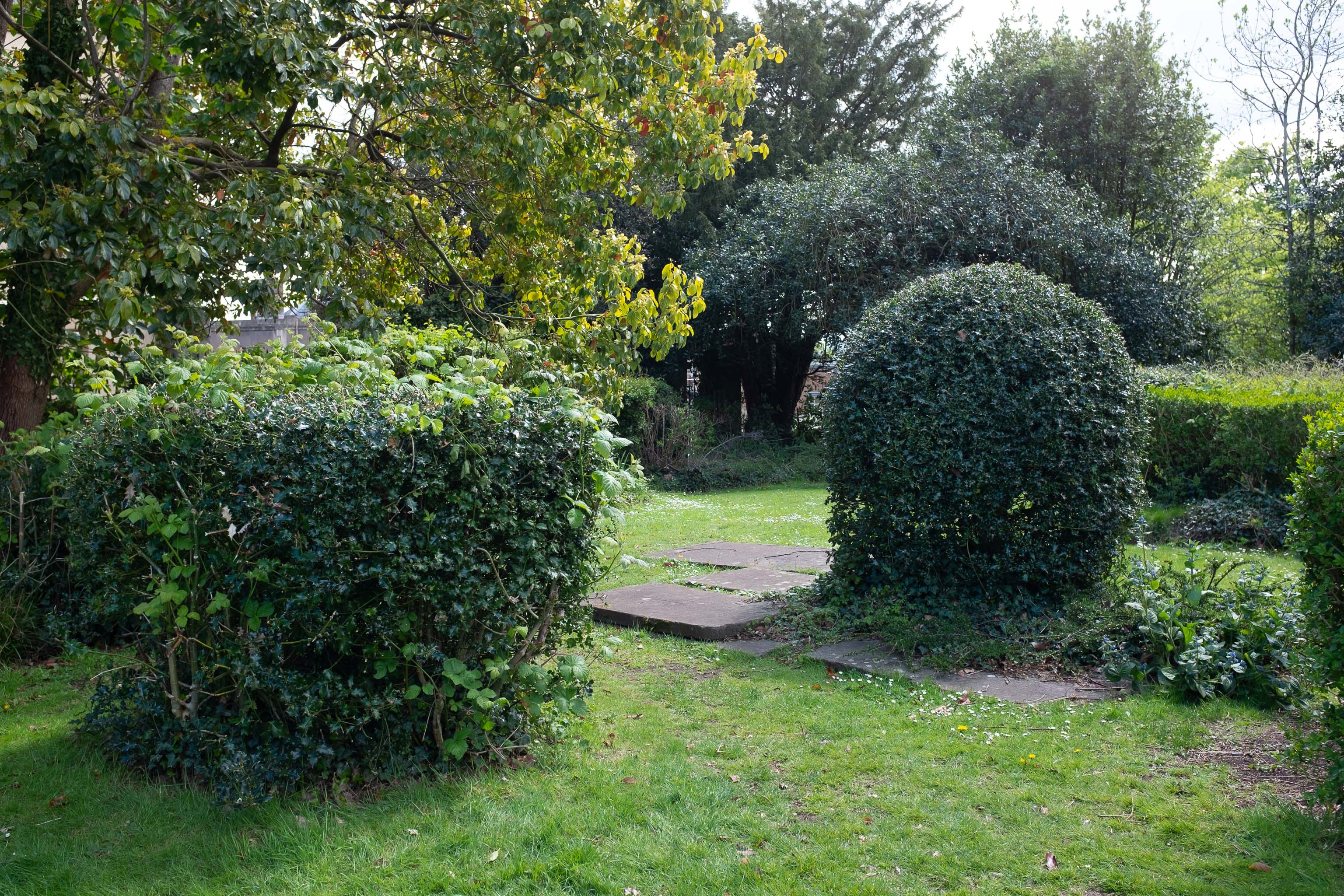 Topiary and Gravestones
