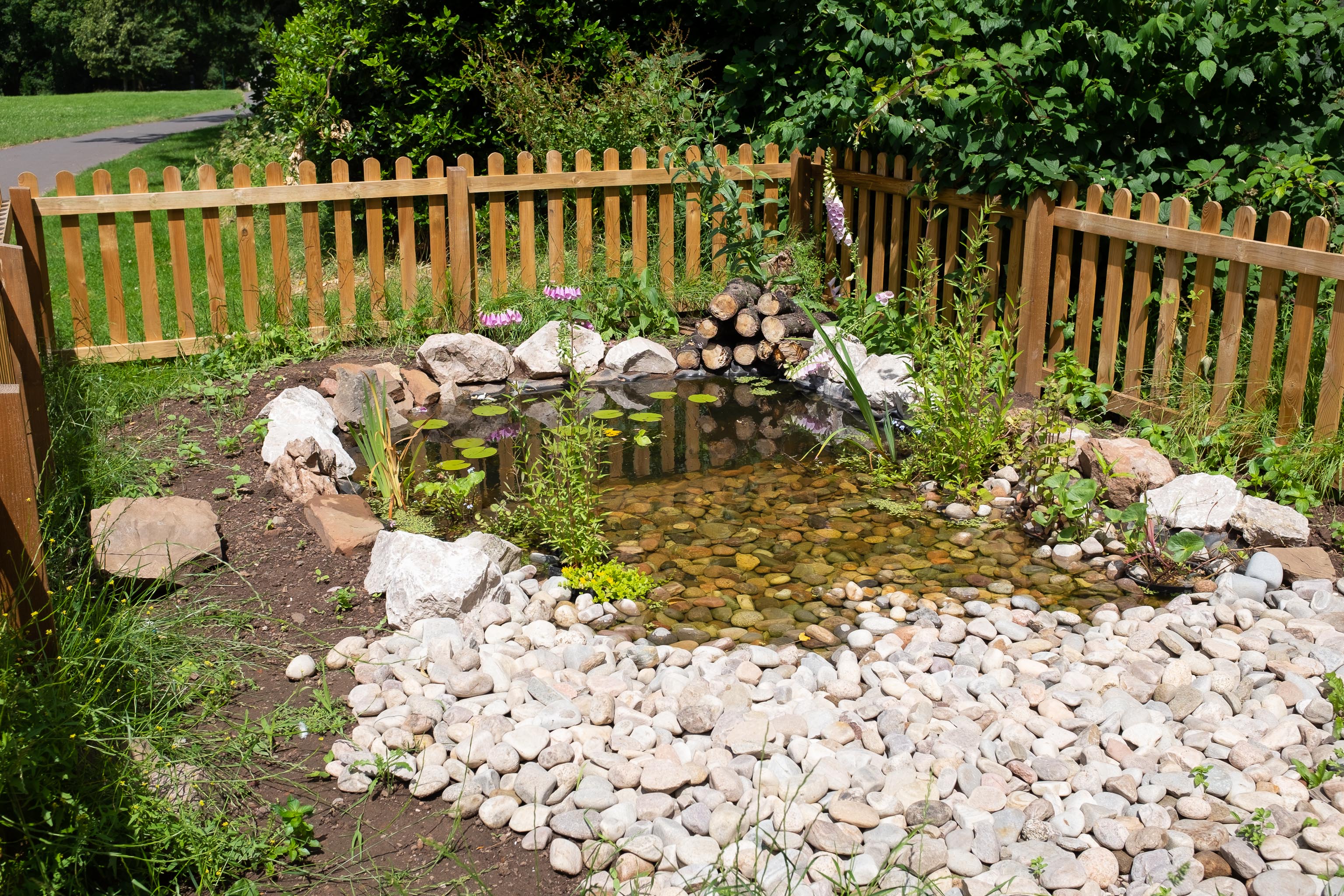 Pond 1
When I passed the (then-empty) fencing back in March I wondered what this would turn out to be. I had no idea it would be a miniature nature reserv...