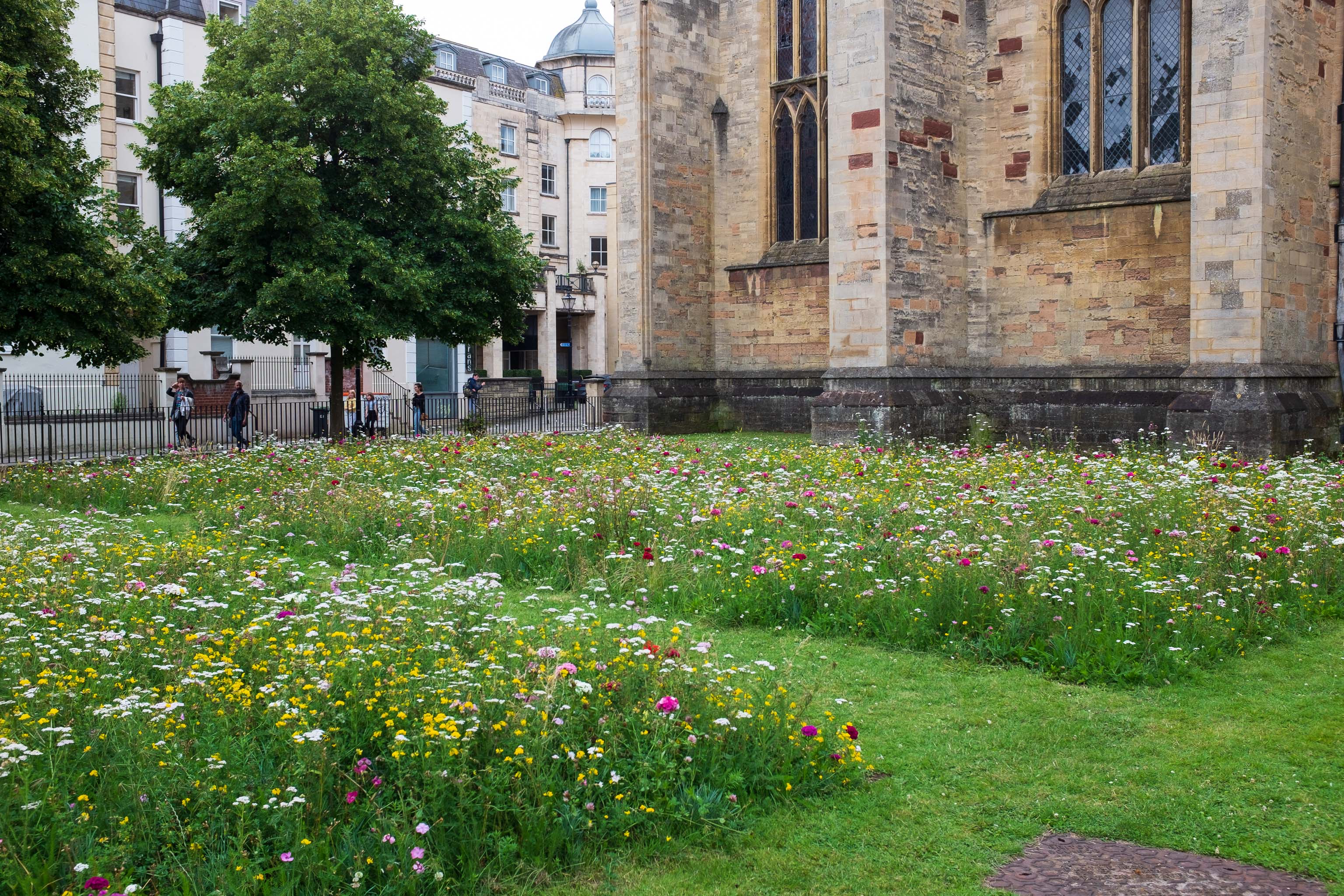 Wildflower Garden
Next to the Cathedral. Which I've still never set foot inside. I should probably put that on the list...
