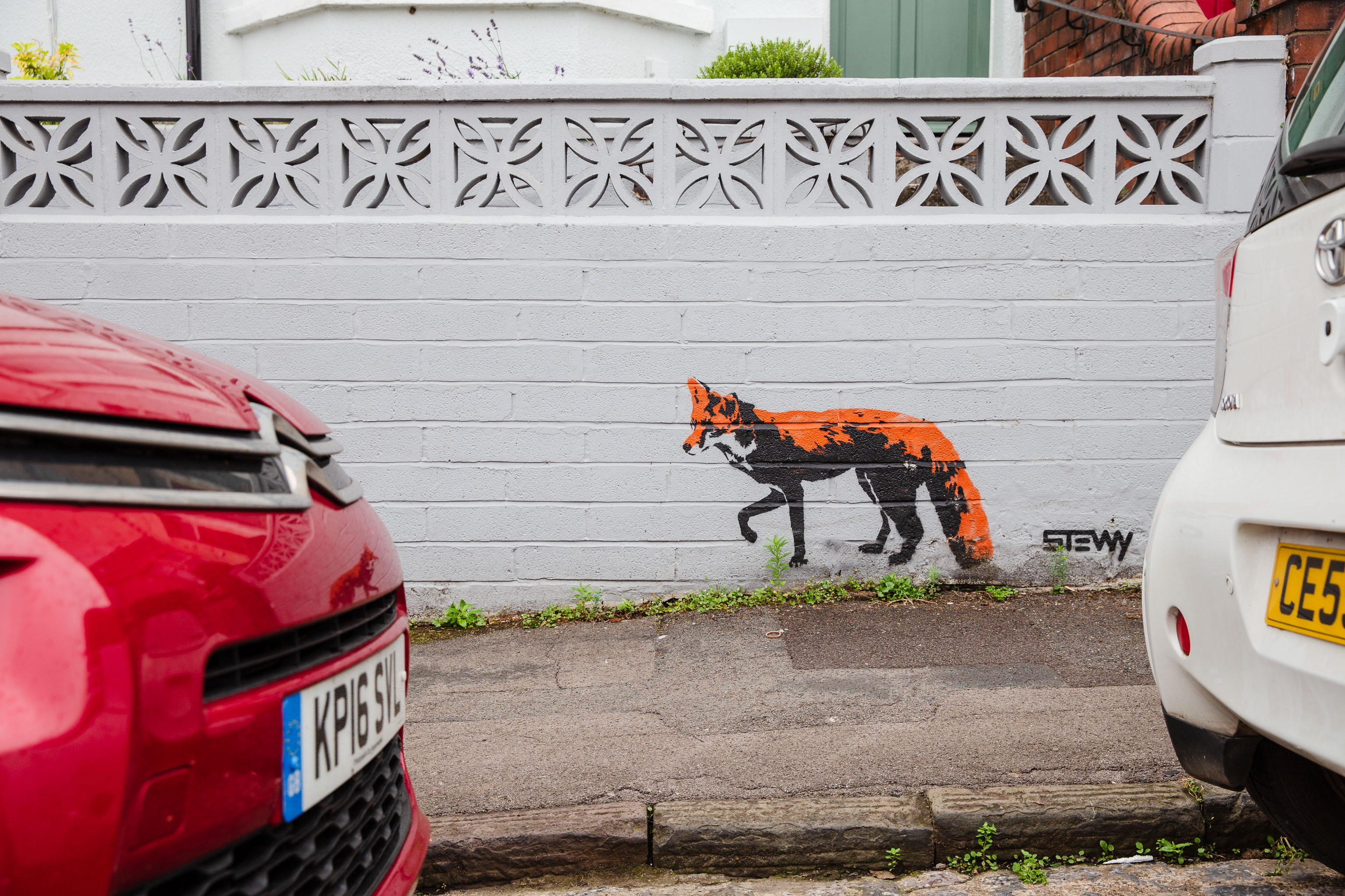 Urban Fox
By Stewy.
