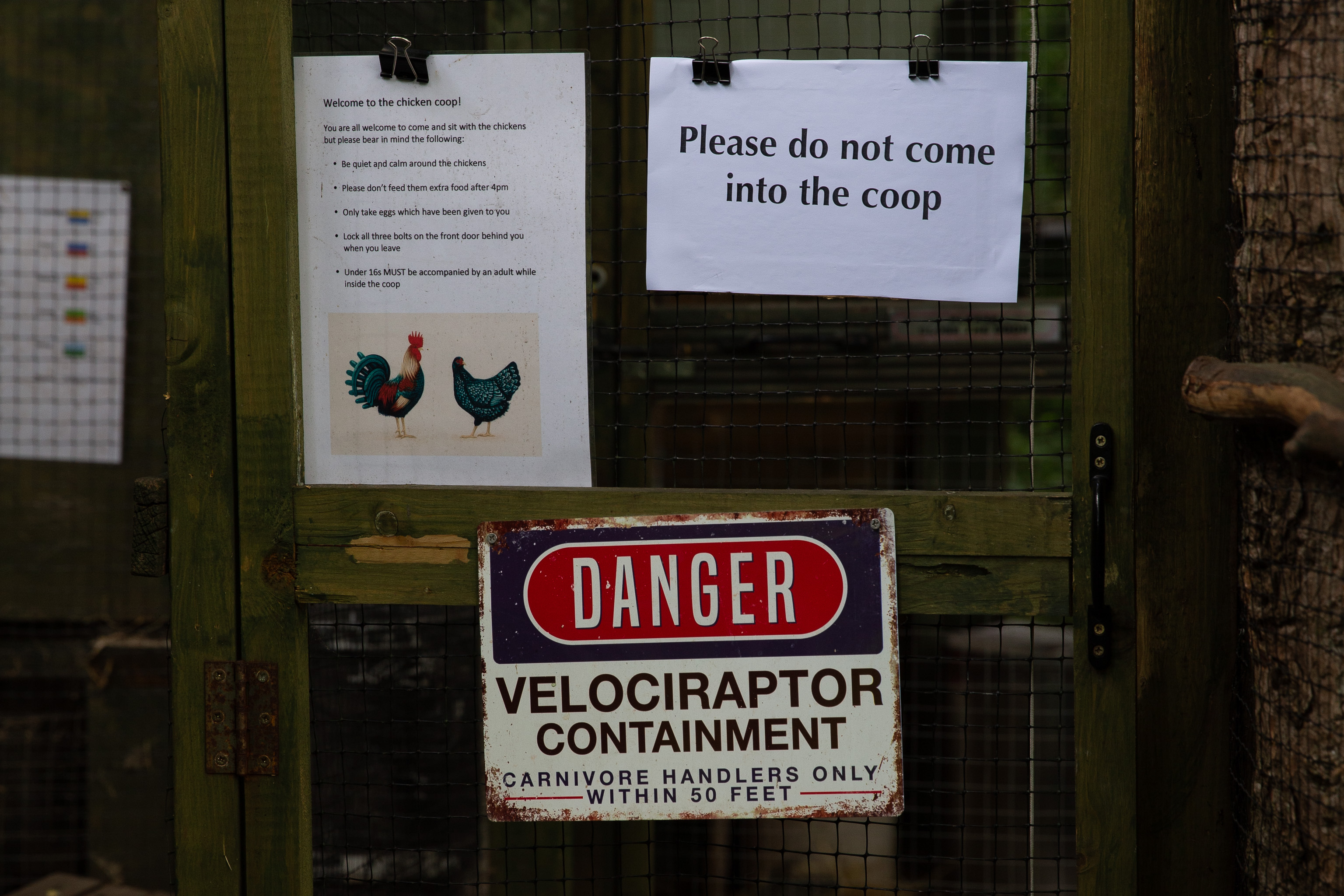 Velociraptor Containment
