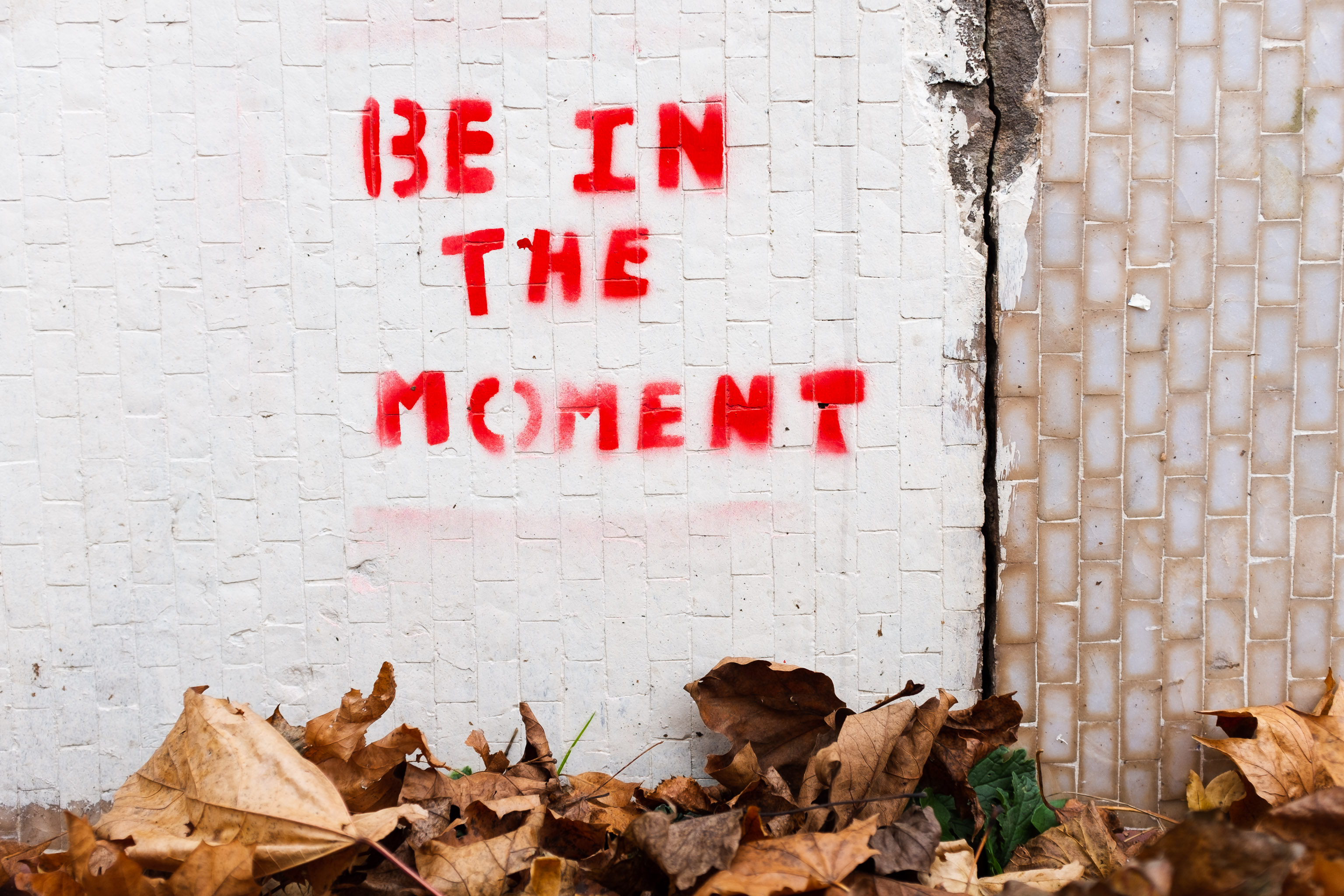 
                                Be In the Moment

                                                                    Advice I try to follow. I rarely succeed, though.

                                                                