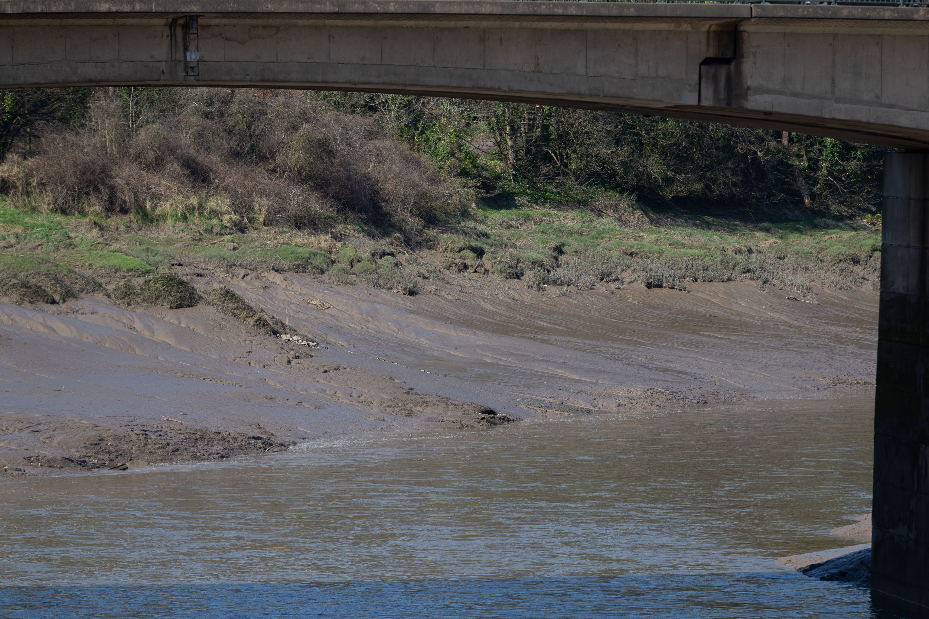 Last Glance
Again, the slipway is easy to miss. I like these little barely-visible curiosities that hide such heritage. The site of the crossing moved around—i...